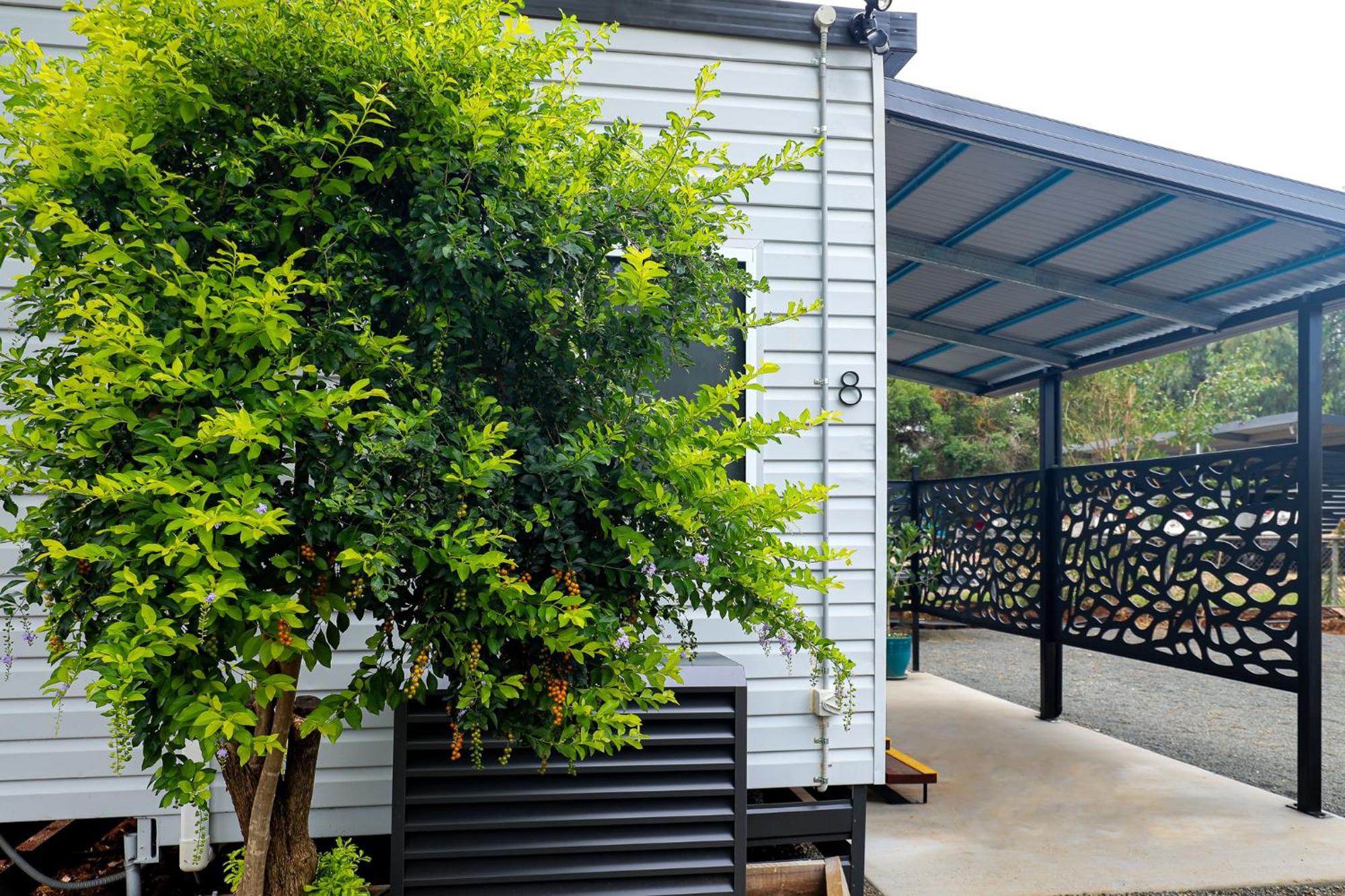 Kingaroy Holiday Park Екстериор снимка